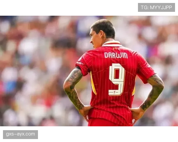 努涅斯利物浦生涯初期贡献与争议解析