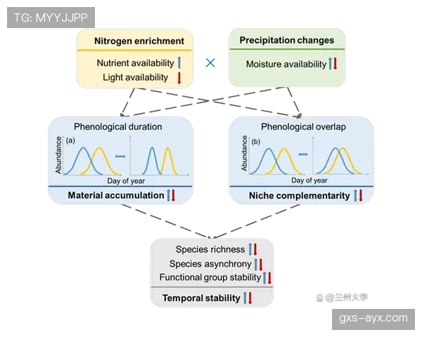 努涅斯情绪控制对比赛稳定性的影响分析 努涅斯情绪控制对比赛稳定性的影响分析