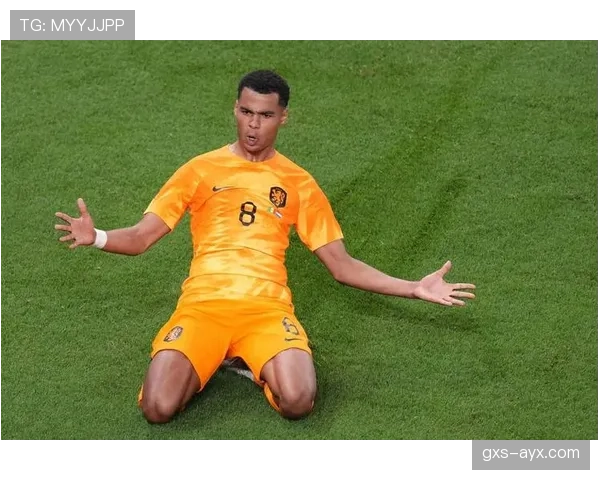 加克波比赛影响力解析 加克波比赛影响力解析